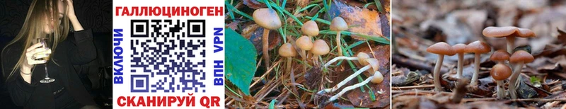 Галлюциногенные грибы Magic Shrooms  купить наркотик  Бугульма 